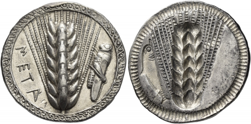Metapontum
Nomos circa 500, AR 8.05 g. META Ear of barley; in r. field, grassho...
