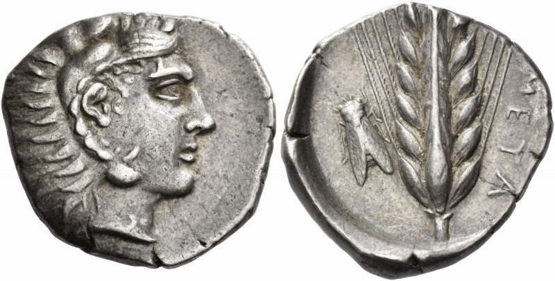 Metapontum 
Nomos circa 430-400, AR 8.00 g. Head of Heracles r., wearing lion’s...