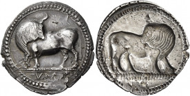 Sybaris 
Nomos circa 550-510, AR 7.58 g. Bull standing l. on dotted exergual line, looking backwards; in exergue, VM. Rev. The same type incuse. SNG ...