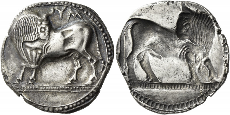 Sybaris 
Nomos circa 550-510, AR 7.60 g. YM Bull standing l. with head reverted...