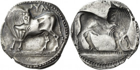 Sybaris 
Nomos circa 550-510, AR 7.60 g. YM Bull standing l. with head reverted. Rev. The same type incuse. SNG München 1157. SNG ANS 817. SNG Copenh...