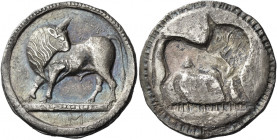 Sybaris 
Nomos circa 515-510, AR 7.44 g. Bull standing l. on dotted exergual line, looking backwards; in exergue, VM. Rev. The same type incuse. SNG ...