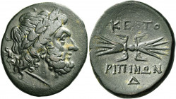 Centuripae 
Bronze after 241 BC, Æ 10.35 g. Laureate head of Zeus r.; in l. field, eagle. Rev. ΚΕΝΤΟ – ΡΙΠΙΝΩΝ Winged thunderbolt; below, Δ. SNG Morc...