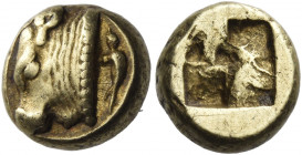 Phocaea 
Hecte circa 521-478, EL 2.55 g. Bull’s head l.; in r. field, seal. Rev. Quadripartite incuse square. Bodenstedt 48a/ α. BMC 33 (These dies)....