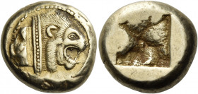 Asia Minor, Uncertain mint 
Stater, uncertain mint in Ionia circa 500, EL 14.00 g. Lion's head r. with dotted collar; behind, two raised squares. Rev...