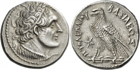 Ptolemy V Epiphanos, 205 – 180 
Octodrachm, Alexandria circa 205-180, AR 28.37 g. Diademed bust of Ptolemy r., with aegis. Rev. BAΣIΛEΩΣ – ΠTOΛEMAIOY...