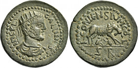 Gallienus, 253 – 268 
Bronze, Iconium (Lykaonia) circa 253-268, Æ 18.61 g. IM C P LI – GALLIENVS Radiate, draped and cuirassed bust r. Rev. I – CONIE...