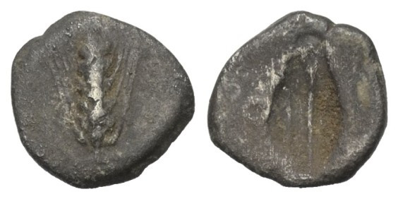 Lukanien. Metapont.

 Diobol (Silber). Ca. 470 - 440 v. Chr.
Vs: Getreideähre...