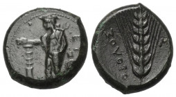 Lukanien. Metapont.

 Obol (Bronze). Ca. 440 - 430 v. Chr.
Vs: Hermes mit Kerykeion Phiale über Thymiaterion haltend nach links stehend; im Feld re...