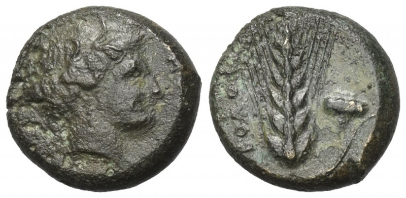 Lukanien. Metapont.

 Obol (Bronze). Ca. 400 - 340 v. Chr.
Vs: Kopf der Demet...
