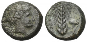Lukanien. Metapont.

 Obol (Bronze). Ca. 400 - 340 v. Chr.
Vs: Kopf der Demeter mit Ährenkranz rechts.
Rs: Getreideähre; im Feld links Nominal und...