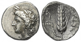 Lukanien. Metapont.

 Nomos oder Tridrachme (Silber). Ca. 330 - 290 v. Chr.
Vs: Kopf der Demeter mit Ährenkranz links.
Rs: META. Getreideähre; im ...