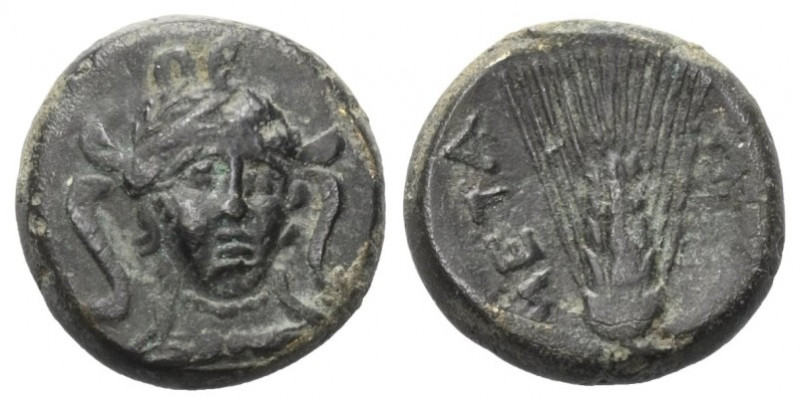 Lukanien. Metapont.

 Bronze. Ca. 300 - 250 v. Chr.
Vs: Kopf der Athena mit a...