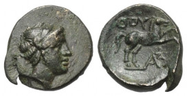 Lukanien. Thourioi.

 Bronze. Ca. 280 - 270 v. Chr.
Vs: Kopf des Apollon rechts.
Rs: Pferd nach rechts galoppierend, darunter Monogramm.

15 mm....