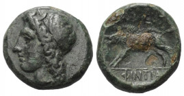 Sizilien. Akragas. Phintias (282 - 277 v. Chr.).

 Bronze.
Vs: Kopf der Akragas (oder Persephone?) mit Schilfkranz links 
Rs: Eber nach links steh...