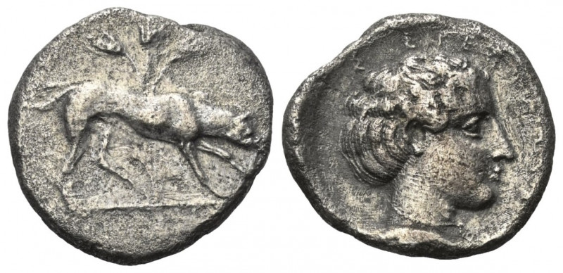 Sizilien. Segesta.

 Didrachme (Silber). Ca. 412 - 400 v. Chr.
Vs: Hund nach ...