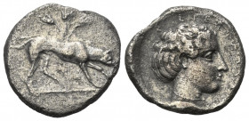 Sizilien. Segesta.

 Didrachme (Silber). Ca. 412 - 400 v. Chr.
Vs: Hund nach rechts stehend, dahinter drei Kornähren.
Rs: Kopf der Nymphe Segesta ...