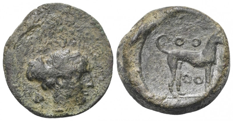 Sizilien. Segesta.

 Bronze (Tetras). Ca. 410 - 400 v. Chr.
Vs: Kopf der Nymp...