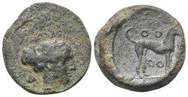 Sizilien. Segesta.

 Bronze (Tetras). Ca. 410 - 400 v. Chr.
Vs: Kopf der Nymphe Segesta rechts, dahinter Efeublatt.
Rs: Hund nach rechts stehend, ...