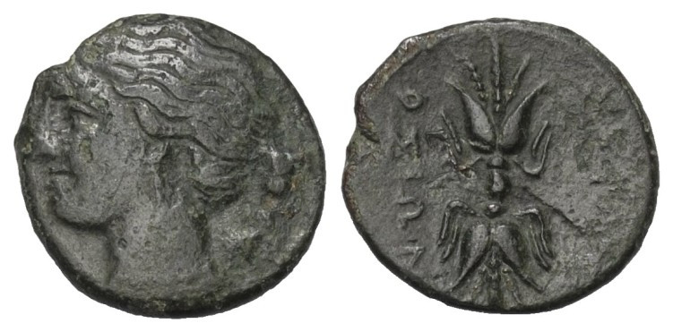 Sizilien. Syrakus. 4. Demokratie (289 - 287 v. Chr.).

 Bronze.
Vs: Kopf der ...