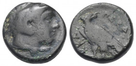Königreich Makedonien. Perdikkas III. (365 - 359 v. Chr.).

 Bronze. Ungesicherte makedonische Münzstätte.
Vs: Kopf des jugendlichen Herakles mit L...