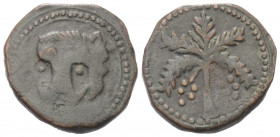 Italien. Sizilien - Königreich. Wilhelm II. (1166 - 1189).

 Trifollaro. Messina.
Vs: Löwenkopf.
Rs: Palme mit Datteln.

24 mm. 10,78 g. 

Spa...