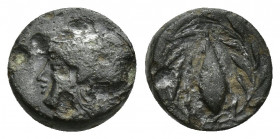 AIOLIS, Elaia. After 340 BC. Æ 10.7mm. 1.2 gr. Head of Athena left in Corinthian helmet / Grain-seed within olive-wreath.