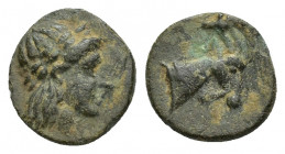 EOLIS, Aigai. 4th-3rd centuries BC. Æ (9.9mm, 0.8 g). Laureate head of Apollo right / Head of goat right.
