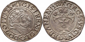 Zygmunt I Stary, grosz 1538, Gdańsk