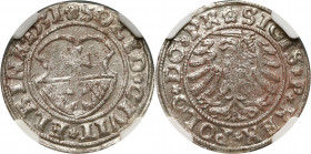 Zygmunt I Stary, szeląg 1531, Elbląg MAX