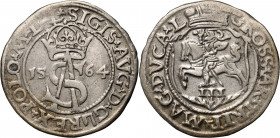 Zygmunt II August, trojak 1564, Wilno