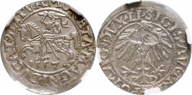 Zygmunt II August, półgrosz 1557, Wilno MAX - jedyny!