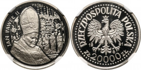III RP, 20000 złotych 1991, Jan Paweł II, PRÓBA, nikiel MAX