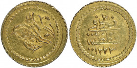 Mahmud II 1223-1255 AH
1/4 Zeri Mahbub, AH 1223/2, AU 0.65 g.
Fr. 88
NGC MS 64