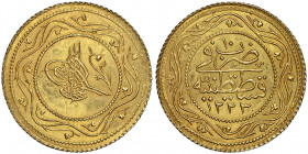 Mahmud II 1223-1255 AH
2 Rumi, AH 1223/10, AU 4.7 g.
Fr. 90
NGC MS 67