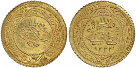 Mahmud II 1223-1255 AH
1/2 Rumi, AH 1223/11, AU 1.2 g.
Fr. 92
NGC MS 64