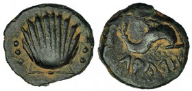 LAURO. Cuarto. A/ Venera con tres glóbulos a su izq. R/ Delfín a der., debajo, inscripción ibérica: LAURO. AE 2,53 g. CNH-5. ACIP-1356, mismo ejemplar...