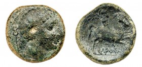 LAURO. Unidad. A/ Cabeza masculina a der., detrás, caduceo. R/ Jinete con palma a der., debajo, inscripción ibérica: LAURO. AE 11,78 g. CNH-11. ACIP-1...