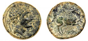 LAURO. Mitad. A/ Cabeza masculina a der., detrás caduceo. R/ Caballo galopando a der., debajo, inscripción ibérica: LAURO. AE 8,41 g. CNH-8. ACIP-1361...
