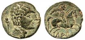 LAURO. Unidad. A/ Cabeza masculina a der. con manto al cuello, detrás cetro. R/ Jinete con palma a der., debajo, inscripción ibérica: LAURO. AE 8,36 g...