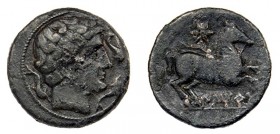ILTIRTA. Cuadrante. A/ Similar al anterior. R/ Caballo con la rienda suelta, galopando a der., encima, estrella, debajo. ley. ibérica: ILTIRTA. AE 6,6...