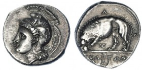 LUCANIA. Velia. Didracma (370-350 a.C.). AR 7,70 g. BMC-74. SBG-456. Hoja en el rev. EBC-.