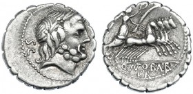 ANTONIA. Denario. Roma (83-82 a.C.). SB-1c. FFC-159. Algo descentrada. MBC.