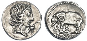 CAECILIA. Denario. Hispania (81 a.C.). R/ Elefante a izq. FFC-213. SB-43. MBC+.