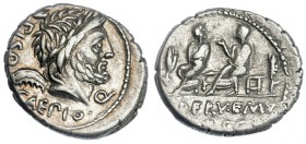 CALPURNIA. Denario. Roma (100 a.C.). R/ Los dos cuestores, Piso y Caepio, sentados a izq. entre dos espigas. FFC-226. SB-5. EBC-/MBC+.
