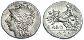 COELIA. Denario. Roma (104 a.C.). R/ La Victoria en biga a izq., debajo CALD.; en el exergo: O. FFC-575. SB-3. Rayita en el anv. EBC-.