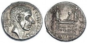 COELIA. Denario. Roma (51 a.C.). A/ Cabeza del cónsul C. Coelius Caldus a der., detrás estandarte con inscripción HIS; delante jabalí; C. COEL CLADVS ...