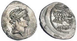 CONSIDIA. Denario. Roma (46 a.C.). FFC-589. SB-6. Vanos de acuñación. Rev. descentrado. EBC. Ex Ibergold 01/04/1986, lote 116.