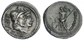CORDIA. Denario. Roma (46 a.C.). A/ Cabezas laureadas de los Dióscuros a der. surmontadas por estrellas, detrás: RVFVS III VIR. R/ Venus a izq. con ba...