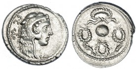 CORNELIA. Denario. Roma (56 a.C.). A/ Cabeza de Hércules joven con piel de león a der., detrás, S.C. en monograma: FAVST. R/ Globo terrestre entre cua...